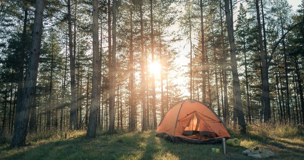 Matförvaring för Friluftsliv, Jakt & Camping – Hållbar Matförvaring.